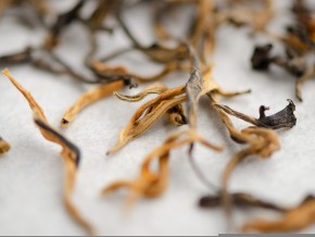 Dian Hong Mao Feng „AA” (Hairy Peaks), 2025