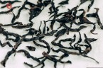 Rou Gui „AA” (Jadeitowa Cynamonowa Kora)