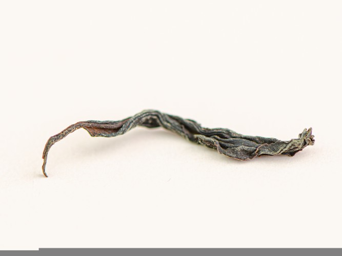 Wuyi Shan Ye Sheng Hong Cha „AA” (dzika czerwona herbata z Wuyi), wiosna 2025 r.