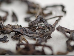 Iwan-herbata "Ozerny", 2025