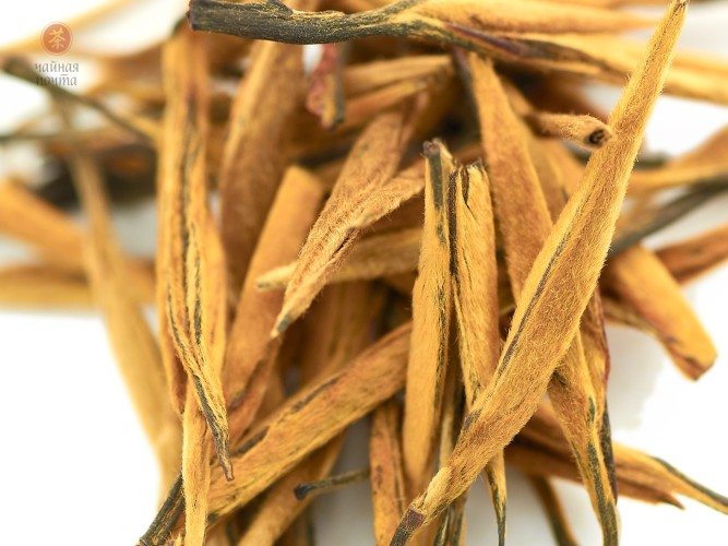 Dian Hong Da Jin Zhen Wang „AAA”, 2025