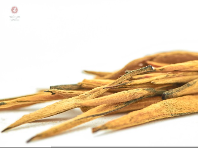 Dian Hong Da Jin Zhen Wang „AAA”, 2025