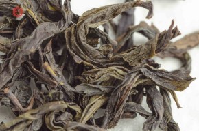 Jin Bien Qi Lan „AAA” (Cudowna Orchidea)