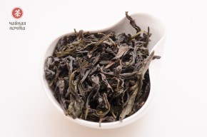 Jin Bien Qi Lan „AAA” (Cudowna Orchidea)