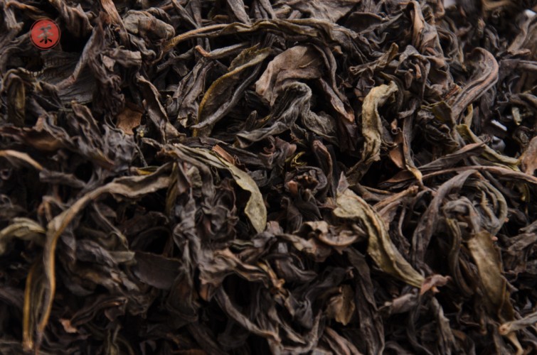 Jin Bien Qi Lan „AAA” (Cudowna Orchidea)