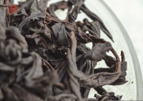 Gao Cong Da Hong Pao „AAA” (Wielki Czerwony Szat z wysokich krzewów)