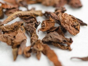 Shu Puer „Birmański Gigant”, 2019