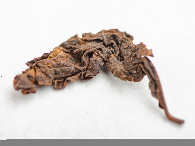 Shu Puer „Birmański Gigant”, 2019