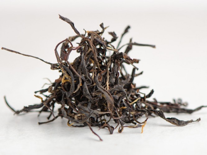 GABA „Czerwona”, Gruzja, 2025