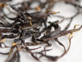 GABA „Czerwona”, Gruzja, 2025