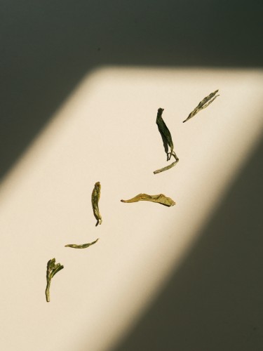 Herbata zielona „Lun Tsinidze” od babci Nargizy, „AA”, Gruzja, 2025, 50g.