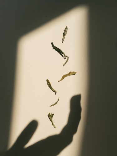 Herbata zielona „Lun Tsinidze” od babci Nargizy, „AA”, Gruzja, 2025, 50g.