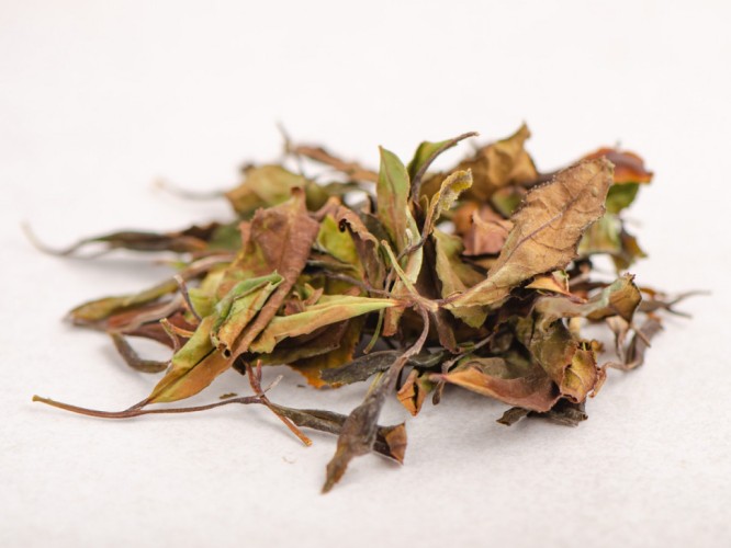 Белый чай „Белое Солнце Ткибули”, Грузия, 2024г.