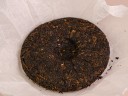 GABA „Śliwki suszone” z Tea Mail „AAA”, 200 g, Tajwan.