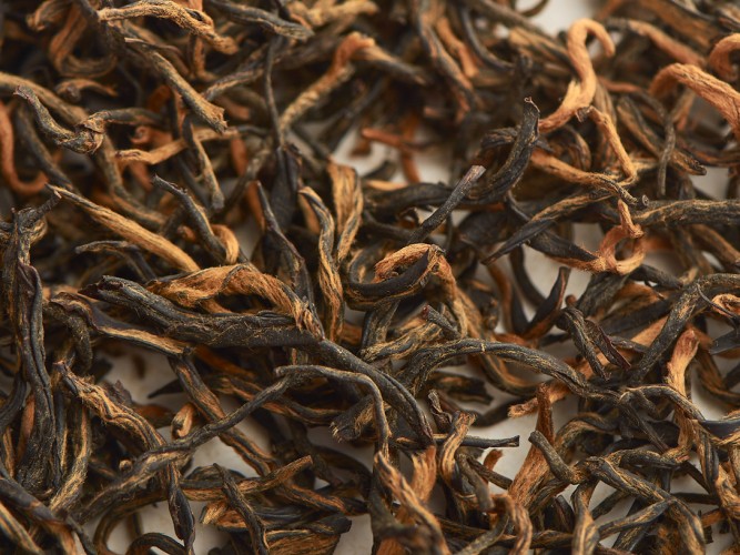 Jin Jun Mei „AA” (Złote Brwi), wiosna 2025