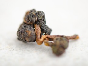 ГАБА Ли Шань "ААА" (ГАБА с Грушевой горы)